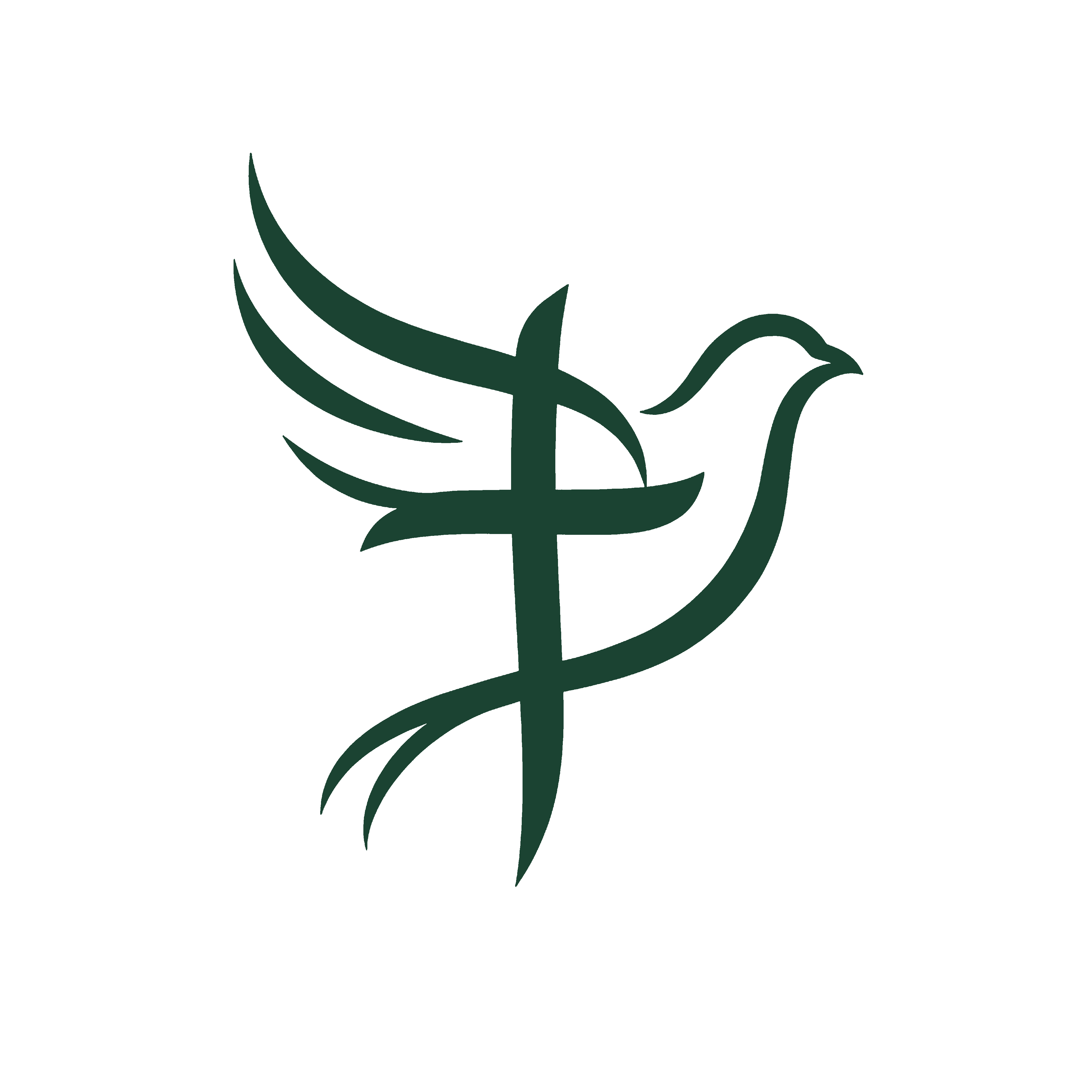 TDM Logo